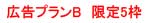 �v����B