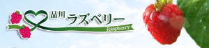 品川ラズベリー